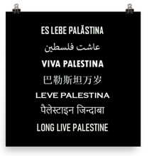 Load image into Gallery viewer, Long Live Palestine Poster