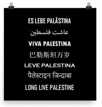 Load image into Gallery viewer, Long Live Palestine Poster
